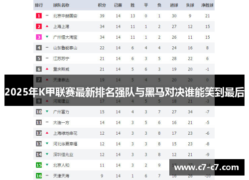 2025年K甲联赛最新排名强队与黑马对决谁能笑到最后