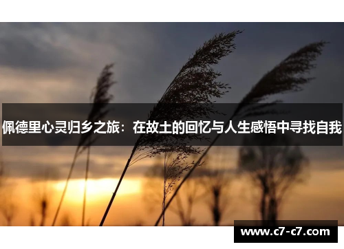 佩德里心灵归乡之旅：在故土的回忆与人生感悟中寻找自我