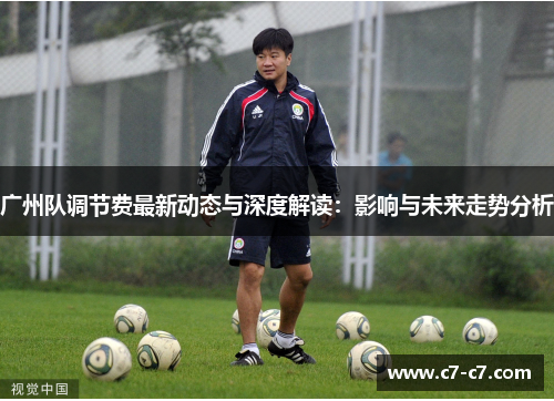 广州队调节费最新动态与深度解读：影响与未来走势分析