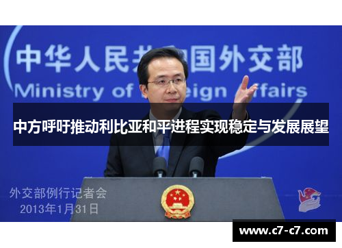 中方呼吁推动利比亚和平进程实现稳定与发展展望