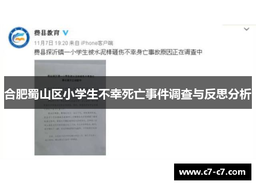合肥蜀山区小学生不幸死亡事件调查与反思分析 合肥蜀山区小学生不幸死亡事件调查与反思分析
