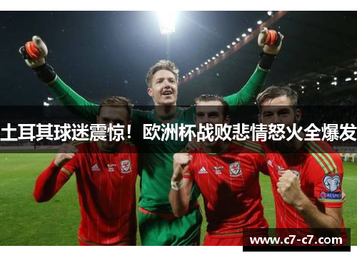 土耳其球迷震惊！欧洲杯战败悲情怒火全爆发