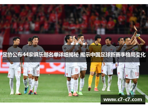 足协公布44家俱乐部名单详细揭秘 揭示中国足球新赛季格局变化