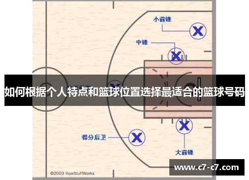 如何根据个人特点和篮球位置选择最适合的篮球号码